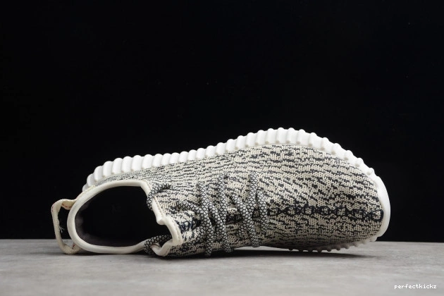 350 Adidas YEEZY Dove AQ4832 Turtle Boost 0709